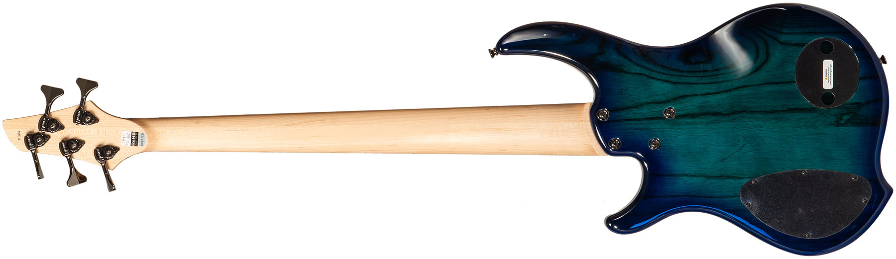 Dingwall Combustion Cb2 5c 2pu Active Pf - Whalepool Burst - Solid body electric bass - Variation 1
