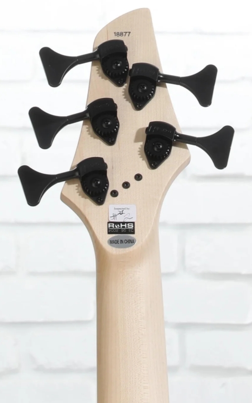 Dingwall Combustion Nashville Cn3 5c 3pu Active Mn - Whalepool Burst - Solid body electric bass - Variation 9