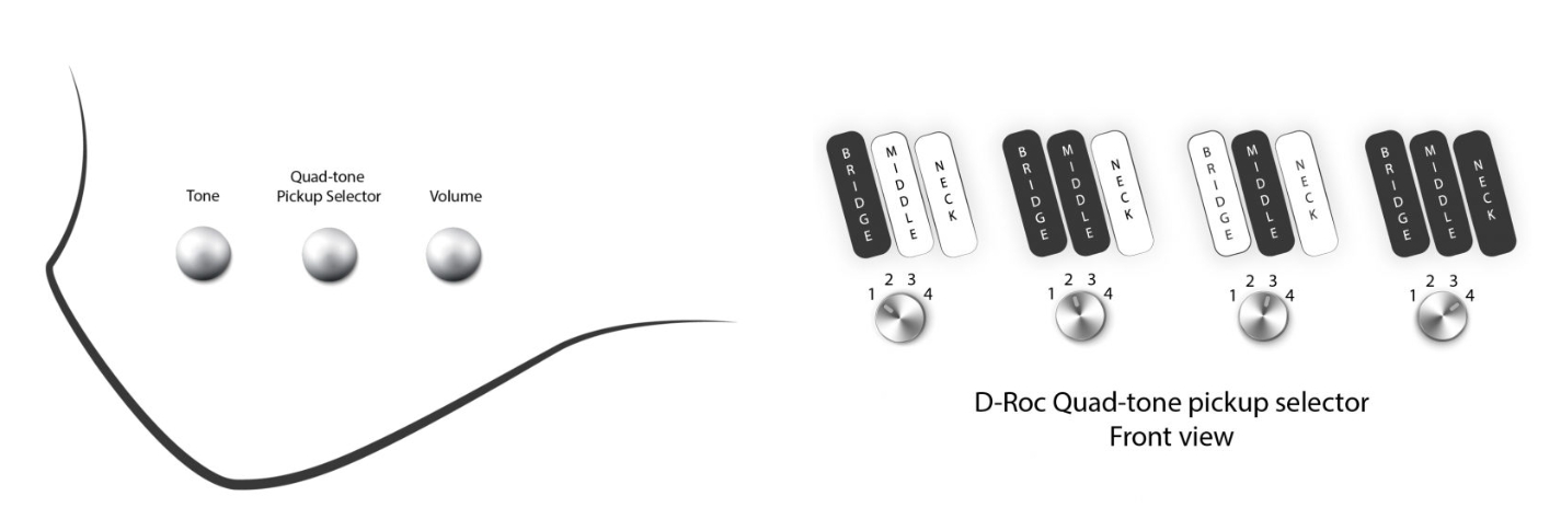 Dingwall D-roc Standard-3 5c 3pu Active Pf - Matte Ducati White - Solid body electric bass - Variation 3