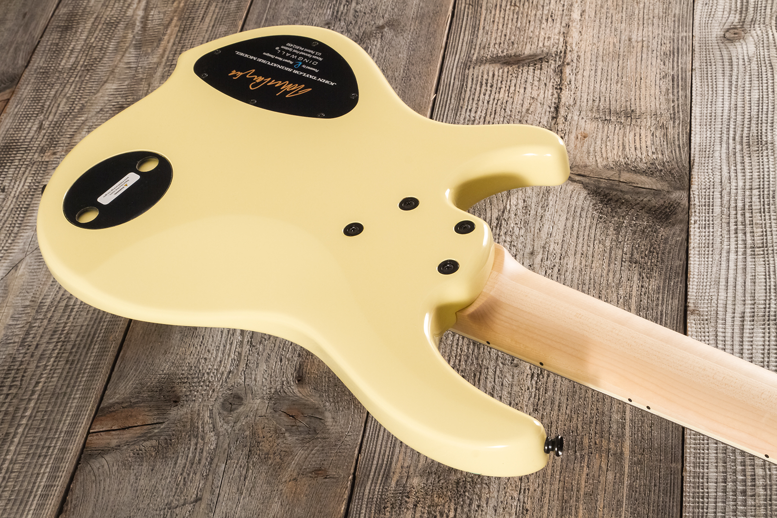 Dingwall John Taylor Rio Dream Jt3 5c Ltd Signature 3pu Active Mn - Creme - Solid body electric bass - Variation 11