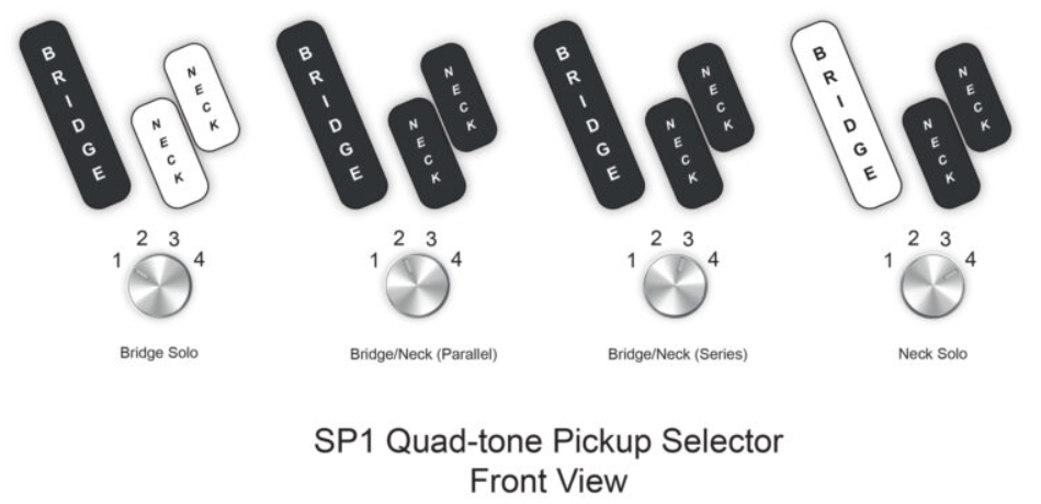 Dingwall Super P Sp1 5c Rw - Gloss Ducati Pearl White - Solid body electric bass - Variation 3