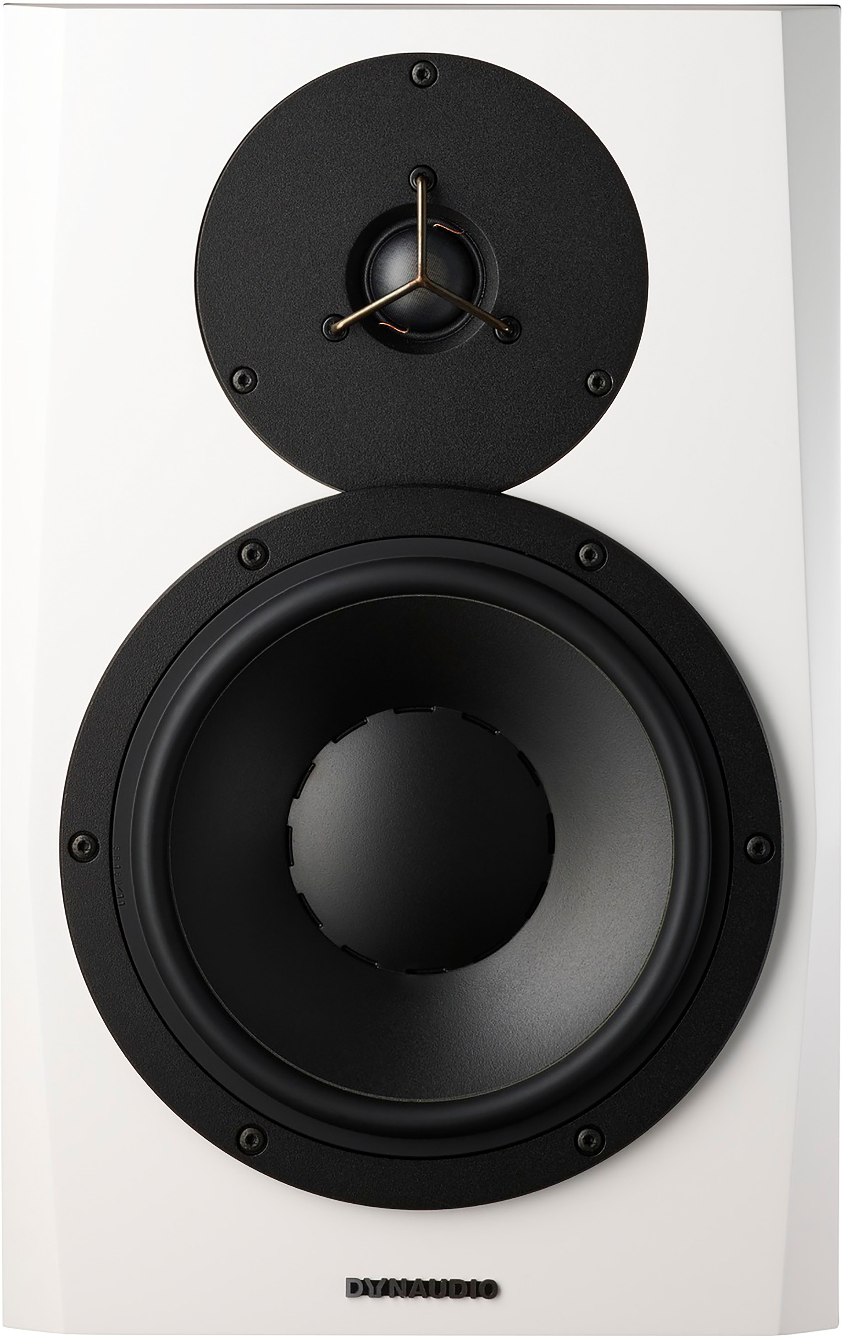 Dynaudio Lyd 8 B/w - La PiÈce - Active studio monitor - Main picture