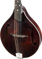 Mandolin Eastman MD305 - Classic