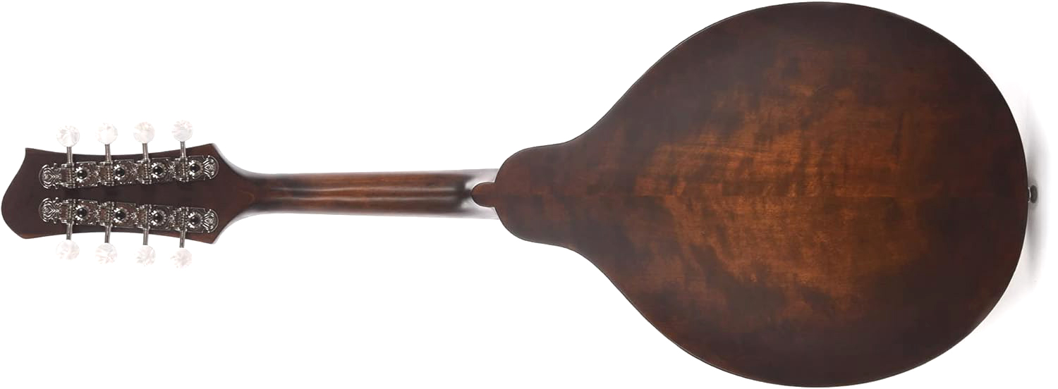 Eastman Md304 A-style Oval-hole Epicea Erable Eb +housse - Classic - Mandolin - Variation 1