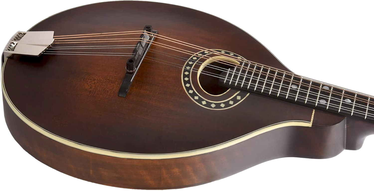 Eastman Md304 A-style Oval-hole Epicea Erable Eb +housse - Classic - Mandolin - Variation 2