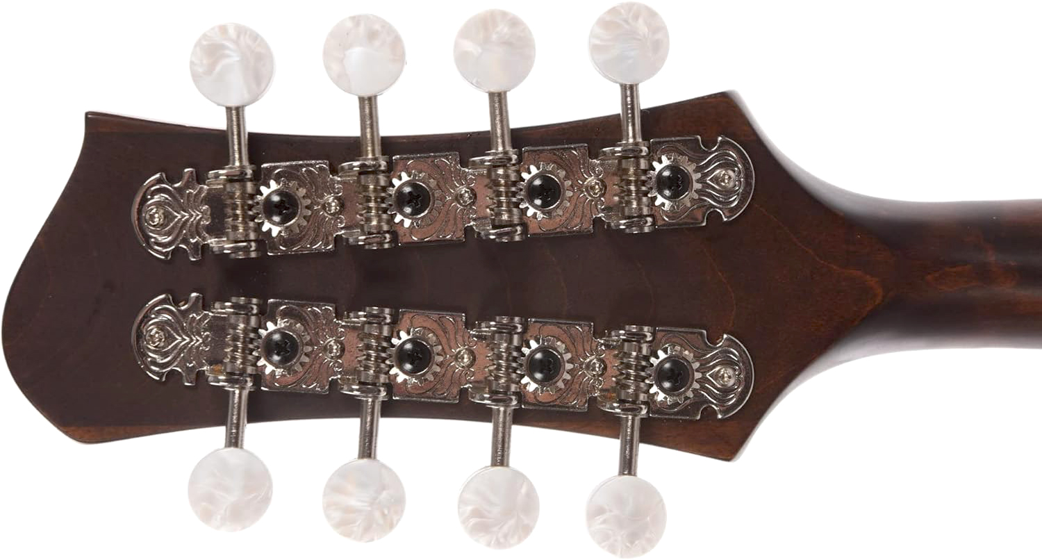 Eastman Md304 A-style Oval-hole Epicea Erable Eb +housse - Classic - Mandolin - Variation 3