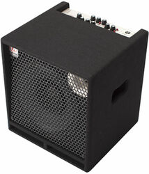 Bass combo amp Eden Terra Nova TN2251