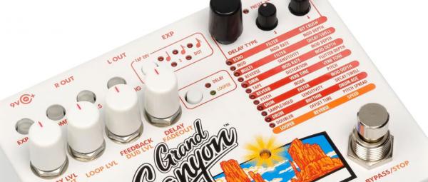 Looper effect pedal Electro harmonix Grand Canyon Delay & Looper