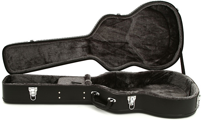 Epiphone Ebics Hound Dog Hard Case - Dobro Gig Bag - Variation 2