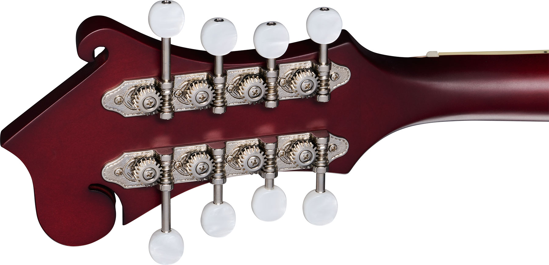 Epiphone F-5 Studio Insp. By Gibson Original - Wine Red Satin - Mandolin - Variation 4