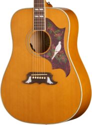 Folk guitar Epiphone IBG Dove Studio - natural