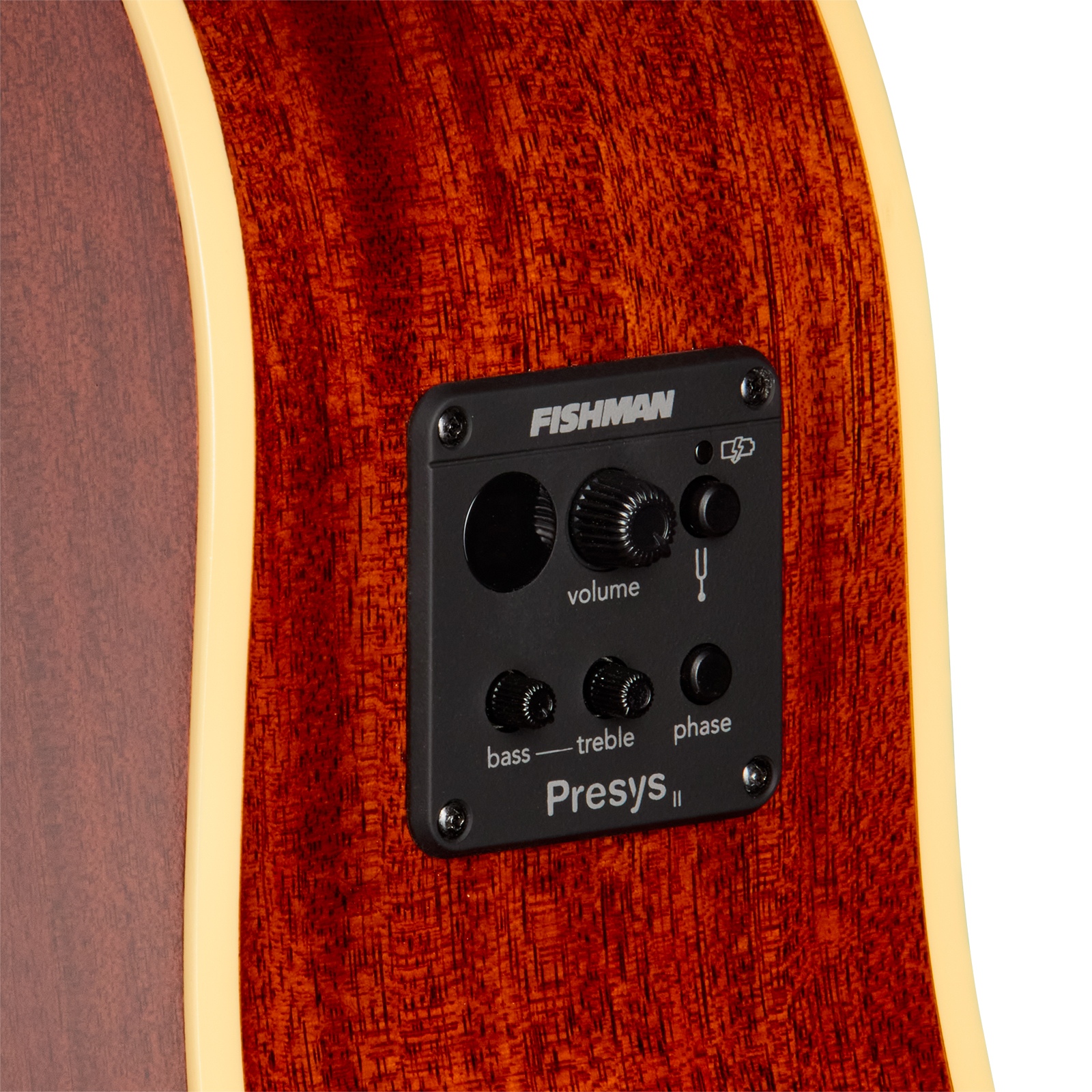 Epiphone J45 Standard Ec Ibg Dreadnought Cw Epicea Acajou Rw - Honey Burst - Folk guitar - Variation 3