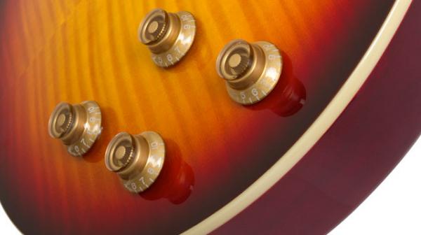 Epiphone Les Paul Standard Plus Top Pro Ltd Bourbon Burst Solid Body Electric Guitar Sunburst