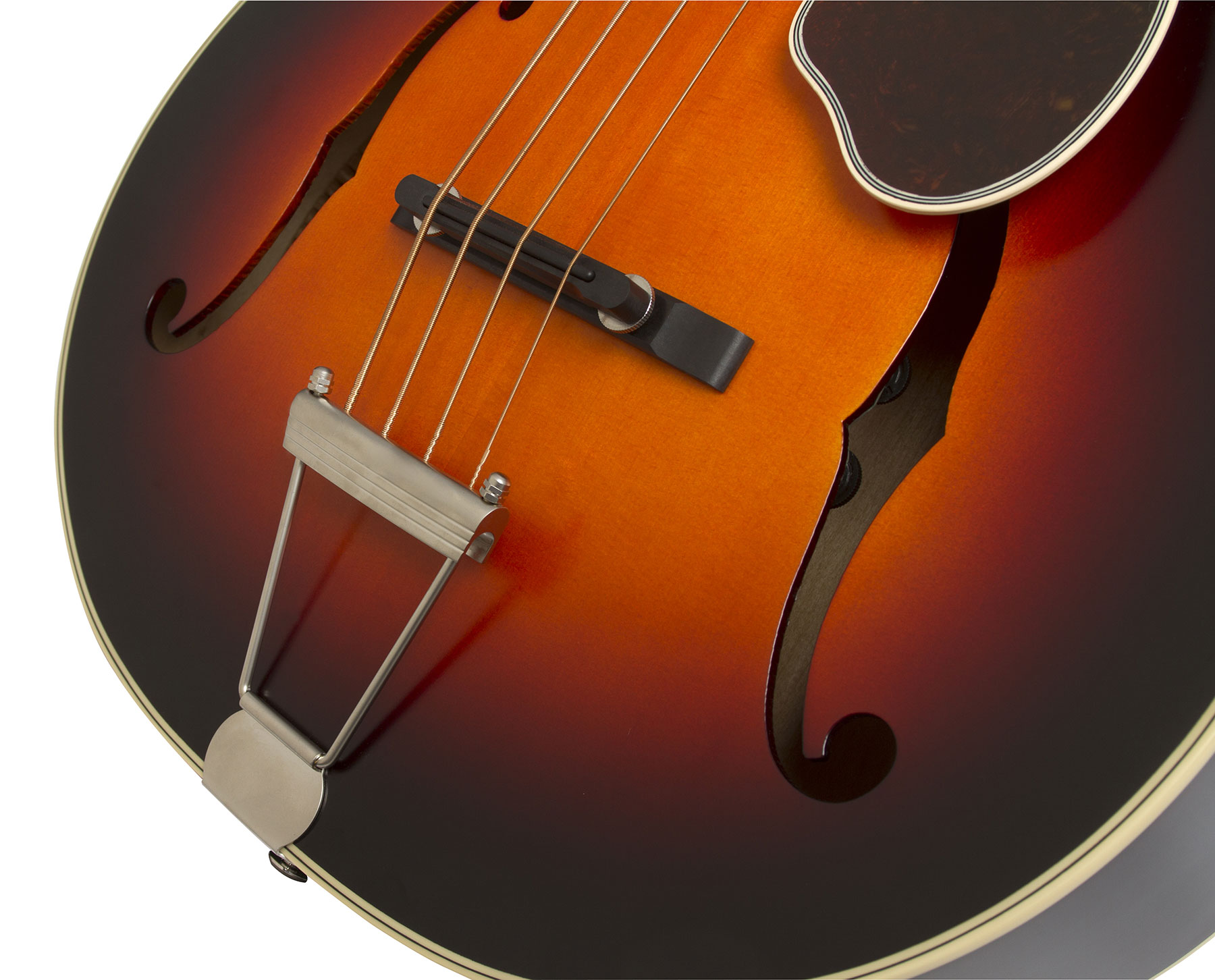 Epiphone Masterbilt Century De Luxe Classic 4-string Acoustic/electric Bass Eb - Vintage Sunburst - Semi & hollow-body electric bass - Variation 2
