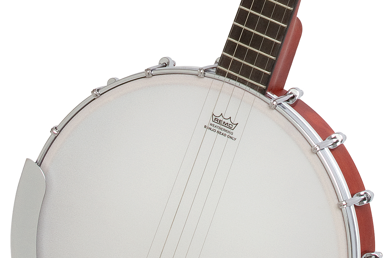 Epiphone Mb-100 5-string 5c - Natural - Banjo - Variation 3