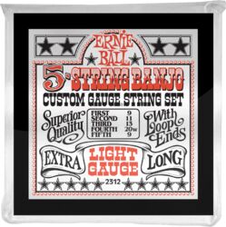 Banjo strings Ernie ball Banjo (5) 2312 Stainless Steel Light 9-9 - Set of strings