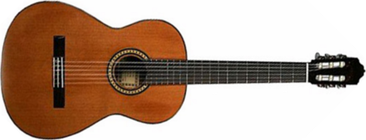 Esteve 6ps 4/4 Cedre Palissandre - Natural - Classical guitar 4/4 size - Main picture