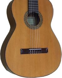 Classical guitar 4/4 size Esteve                         4ST - Natural gloss