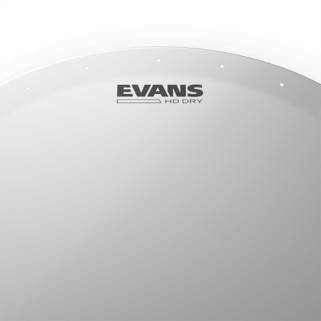 evans genera snare head