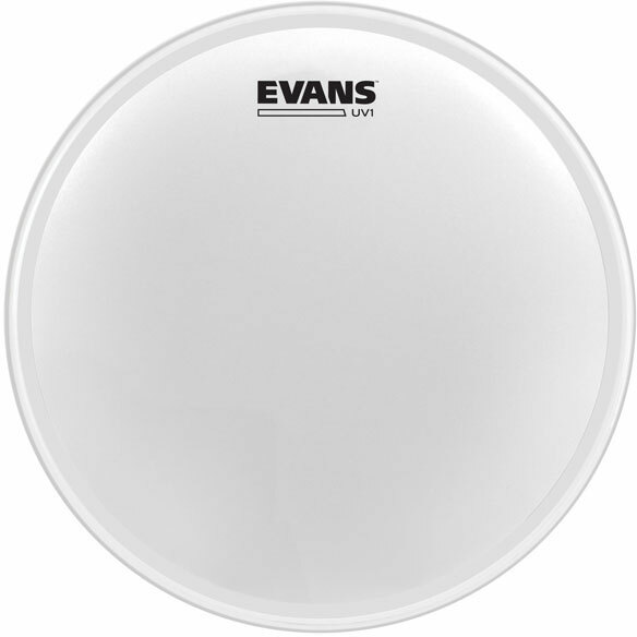 Evans B13uv1 - Sanre drum head - Main picture