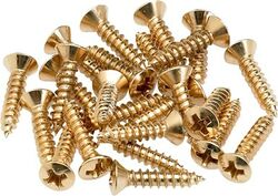 Screw Fender Pickguard - Control Plate Mounting Screws (24) Gold