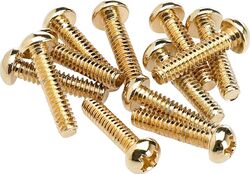 Screw Fender Pickup & Selector Switch Mounting Screws (12) - Gold