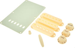 Accessories kit Fender Stratocaster Accessory Kit - Aged White