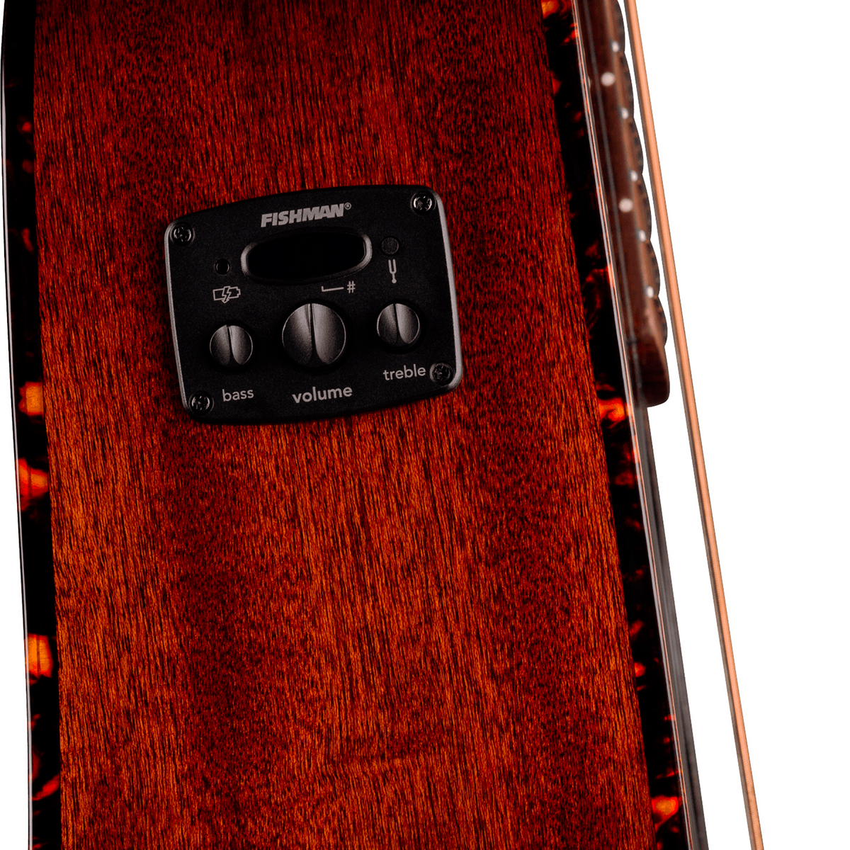 Fender Monterey Deluxe E California Orchestra Om Epicea Acajou Noy - Aztec Gold - Folk guitar - Variation 2