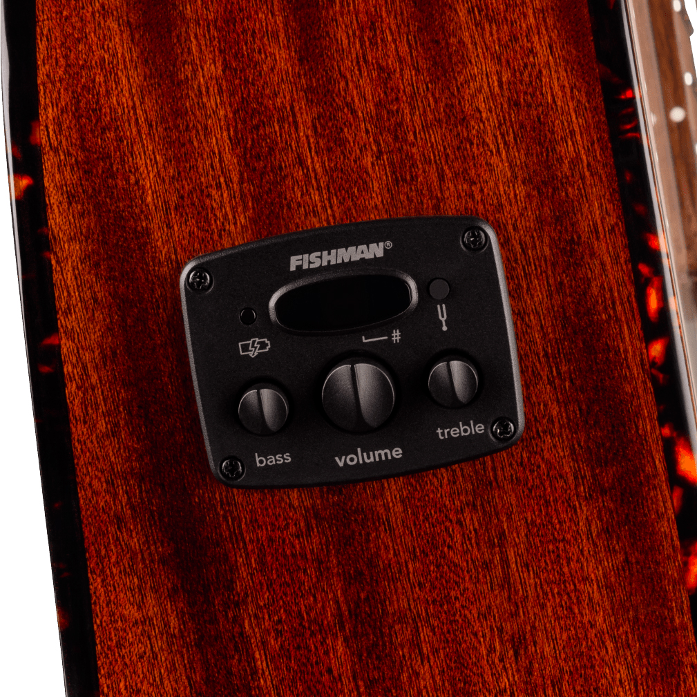 Fender Newporter Deluxe Ce California Auditorium Cw Epicea Acajou Wal - Sienna Sunburst - Folk guitar - Variation 3