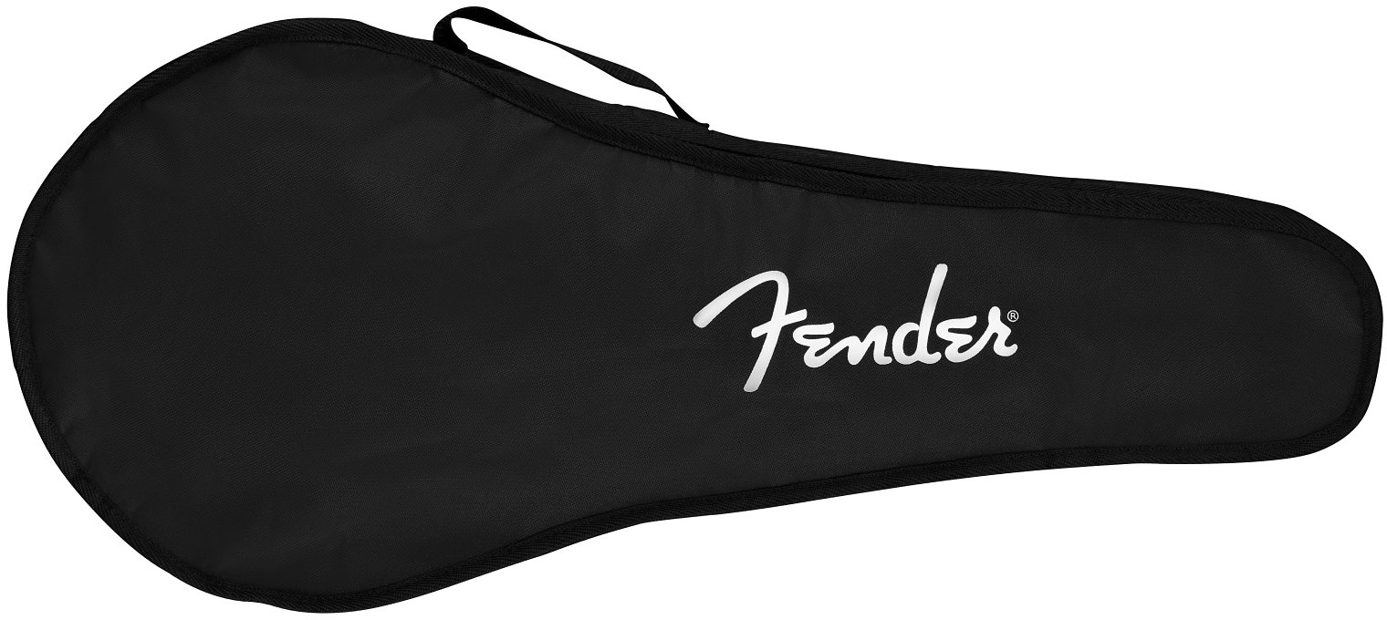 Fender Pm180e Mandolin Paramount Epicea Acajou Wal - Aged Cognac Burst - Mandolin - Variation 4