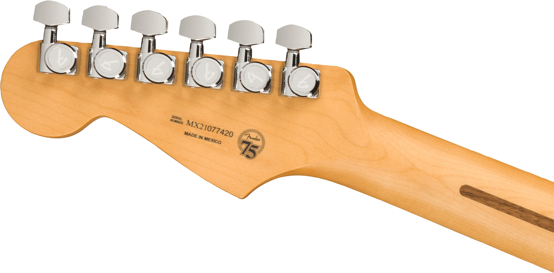 Fender Strat Player Plus Mex Hss Trem Pf - Silverburst - Str shape electric guitar - Variation 3