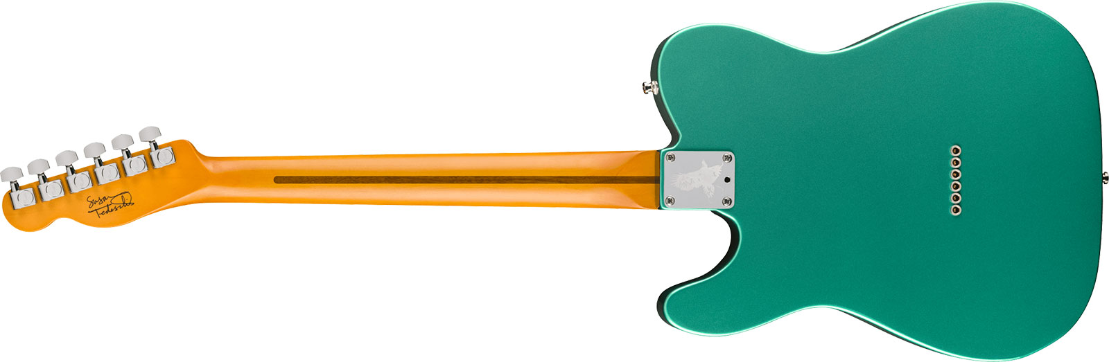 Fender Susan Tedeschi Tele Usa Signature 2s Ht Rw - Aged Caribbean Mist - Tel shape electric guitar - Variation 1