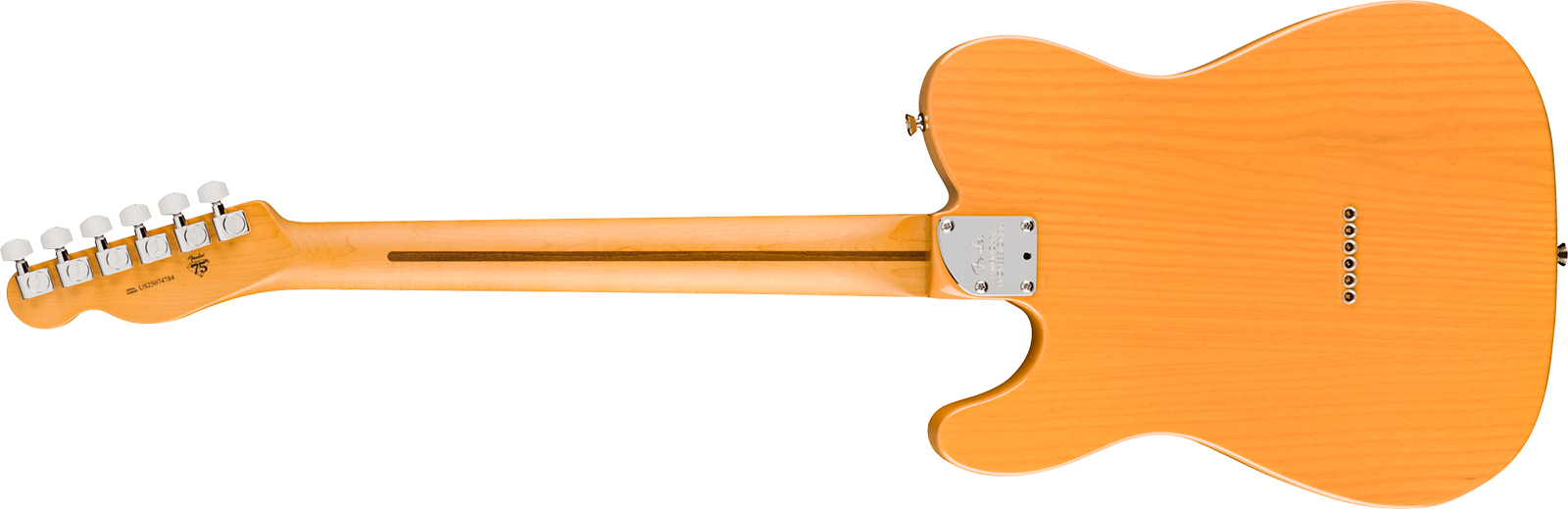 Fender Tele American Pro. Usa  2s Ht Mn - Butterscotch Blonde - Tel shape electric guitar - Variation 1