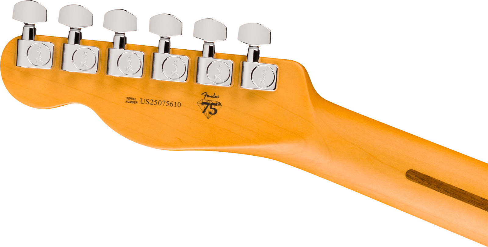 Fender Tele American Pro. Usa  2s Ht Rw - Dark Night - Tel shape electric guitar - Variation 4