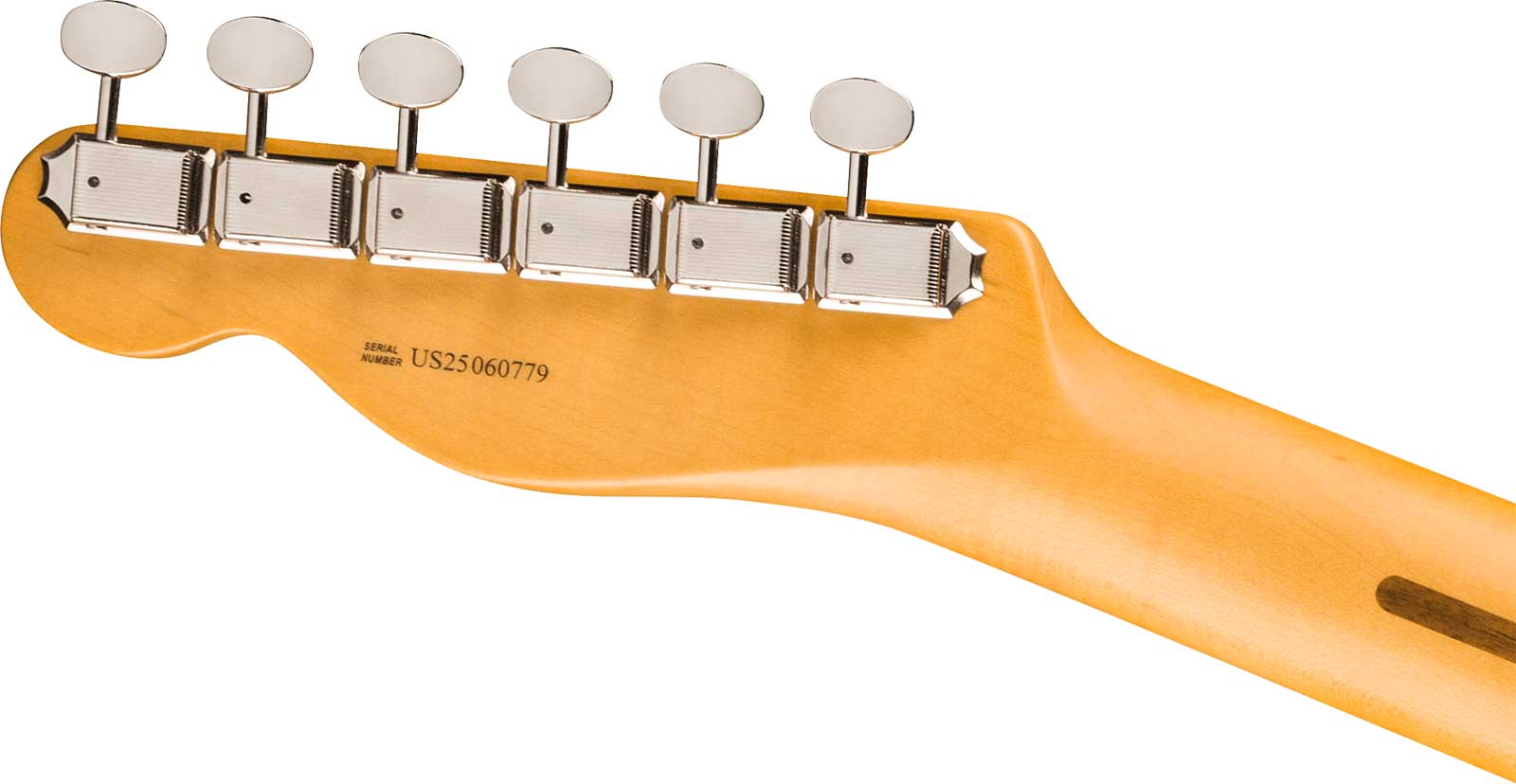 Fender Tele American Professional Classic Usa 2s Ht Mn - Faded Sherwood Green Metallic - Tel shape electric guitar - Variation 3