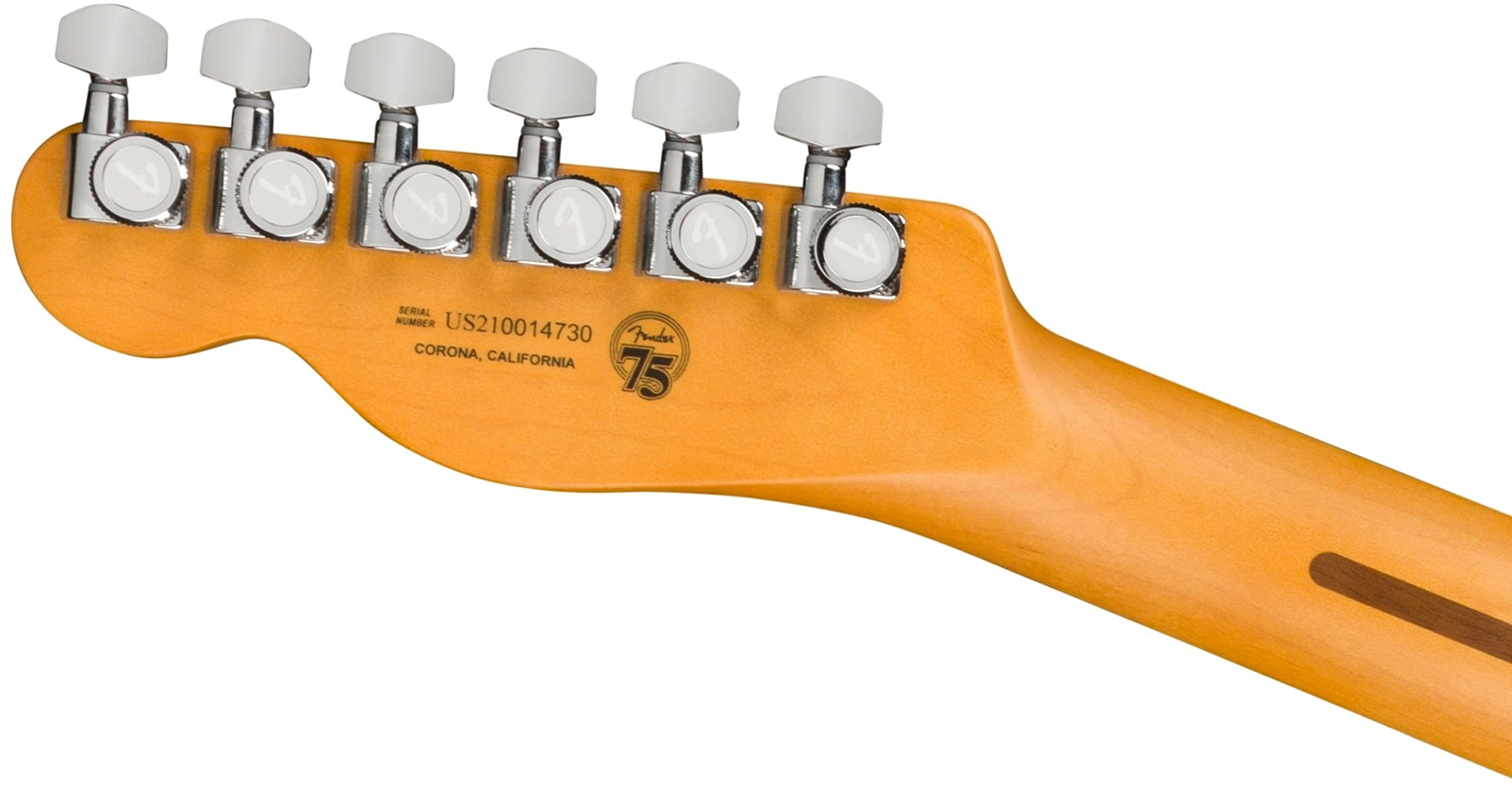Fender Tele American Ultra Fsr Ltd Usa 2s Ht Eb - Mystic Pine Green - Tel shape electric guitar - Variation 4