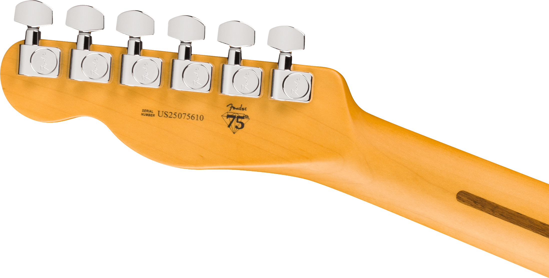 Fender Tele Hot Shot American Pro. Usa  2s Ht Rw - Oxblood - Tel shape electric guitar - Variation 4