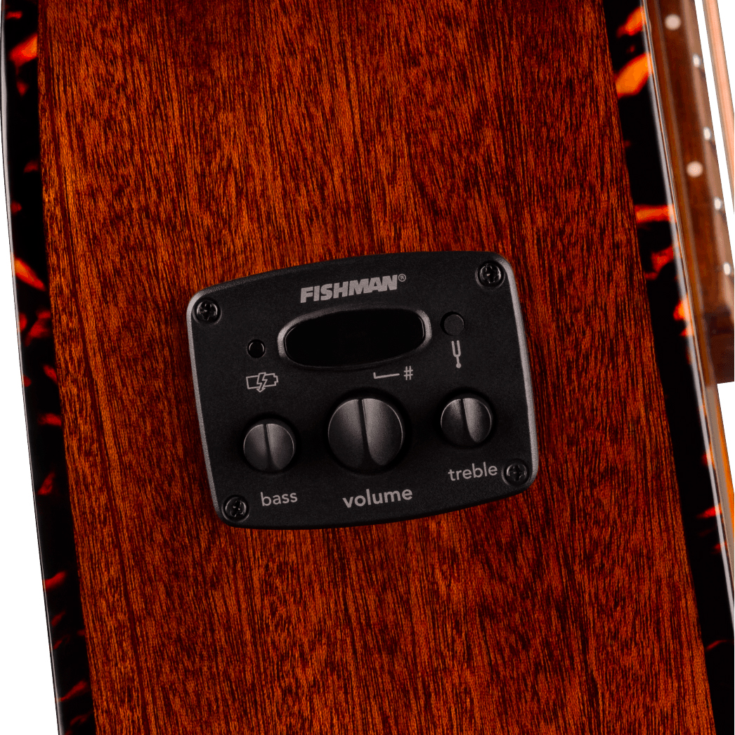 Fender Villager Deluxe E California Orchestra Om 12c Shsc Epicea Acajou Noy - Black - Folk guitar - Variation 3