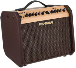 Acoustic guitar combo amp Fishman                        Loudbox Mini Bluetooth