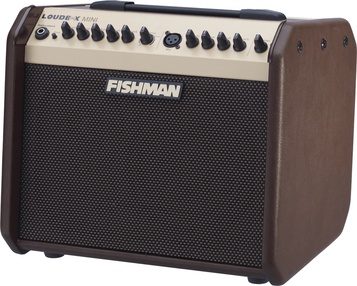 Fishman Loudbox Mini 60w Bluetooth - Acoustic guitar combo amp - Variation 1