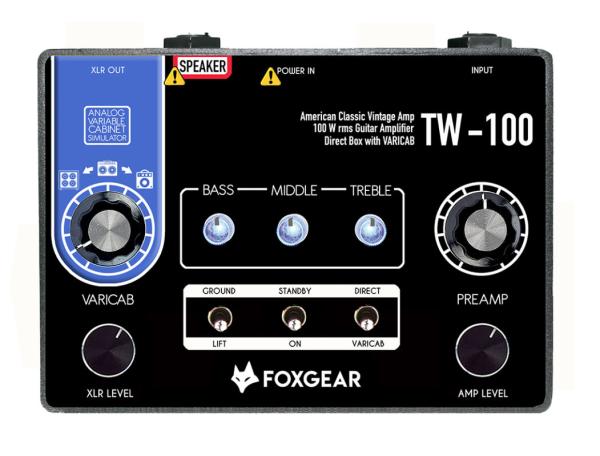 Electric guitar amp head Foxgear TW-100 Miniamp