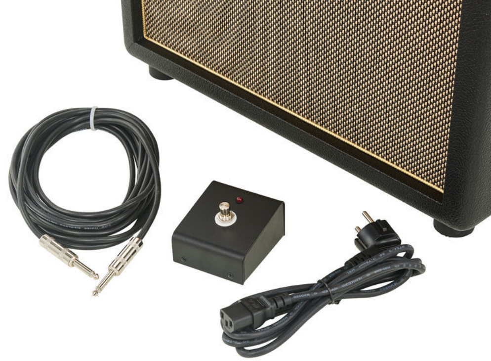 Friedman Amplification Runt 20 Combo 20w 1x12 - Electric guitar combo amp - Variation 4