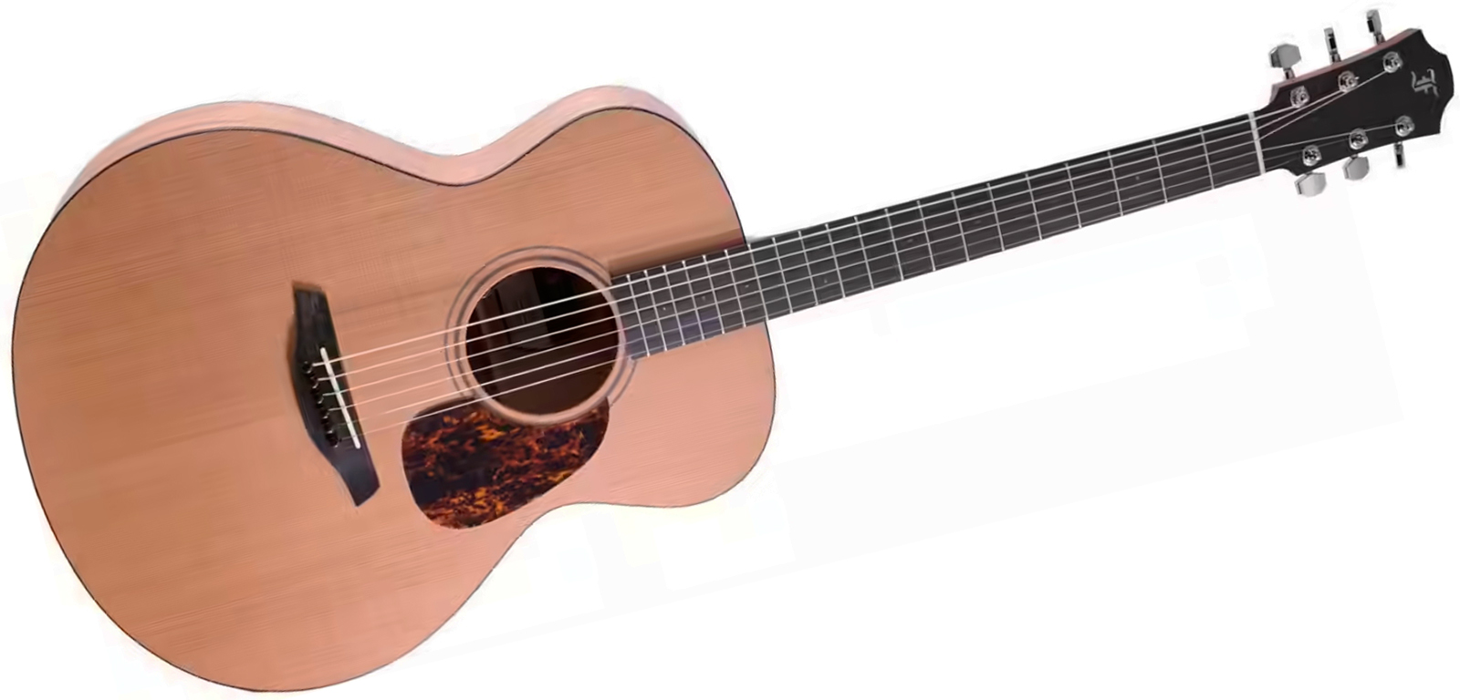 Furch Blue Cm A G Lrb1 Grand Auditorium Cedre Acajou Eb - Natural Open-pore - Folk guitar - Variation 1