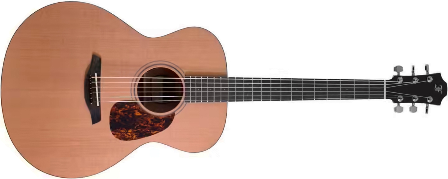 Furch Blue Cm A G Lrb1 Grand Auditorium Cedre Acajou Eb - Natural Open-pore - Folk guitar - Main picture