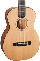 Folk guitar Furch Travel Little Jane LJ10-CM LRB1 LH - Natural open-pore