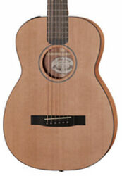 Travel acoustic guitar  Furch Little Jane LJ10-CM LRB1 Travel - Natural