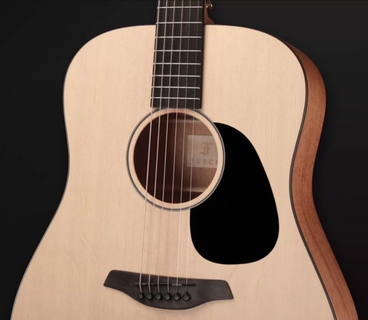 Furch Violet D-em Lrb1 43mm Dreadnought Epicea Acajou Bkbr - Dreadnought guitar - Variation 3