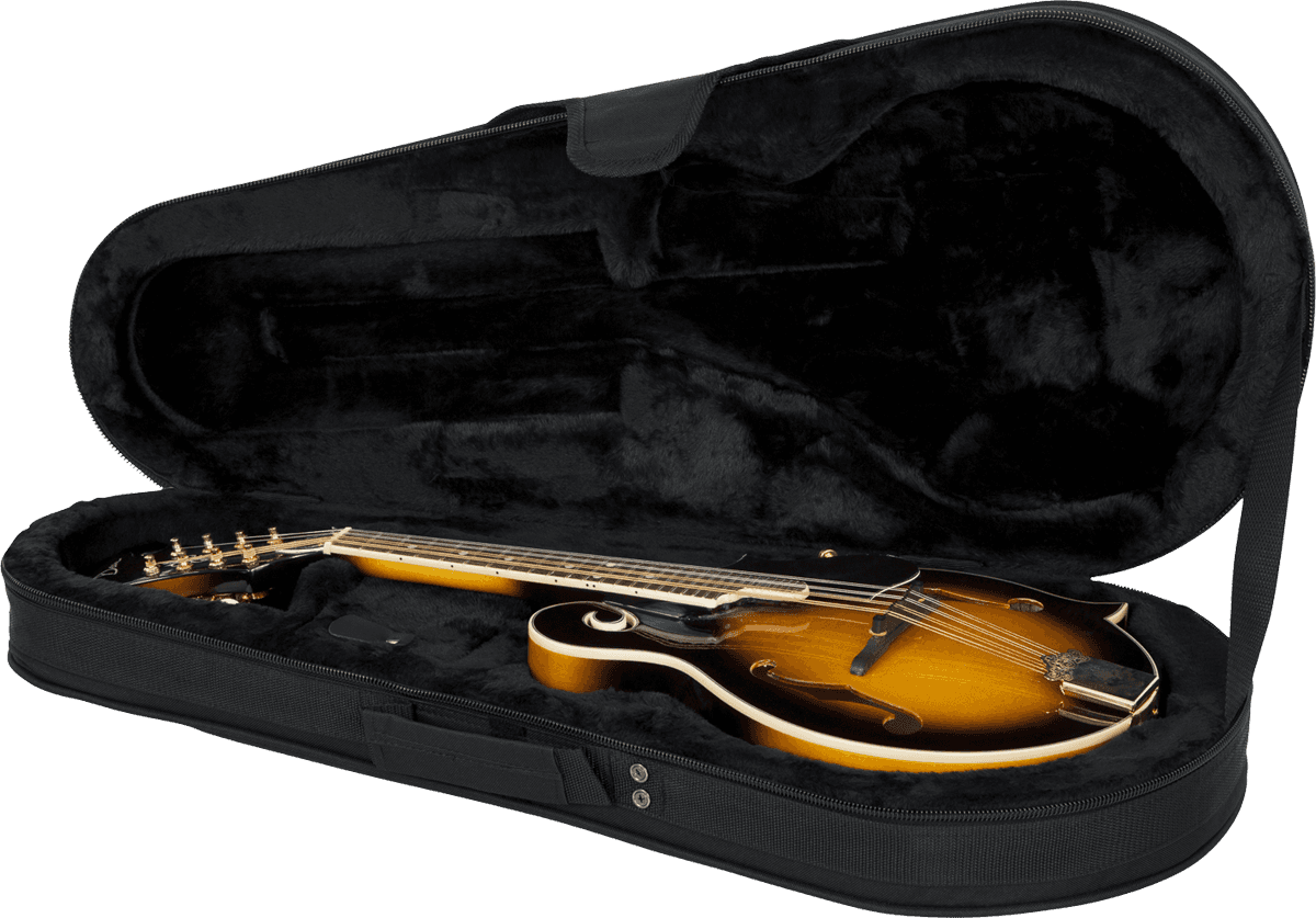 Gator Gl-mandolin Lightweight - Mandoline case - Main picture