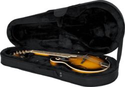 Mandoline case Gator GL-MANDOLIN