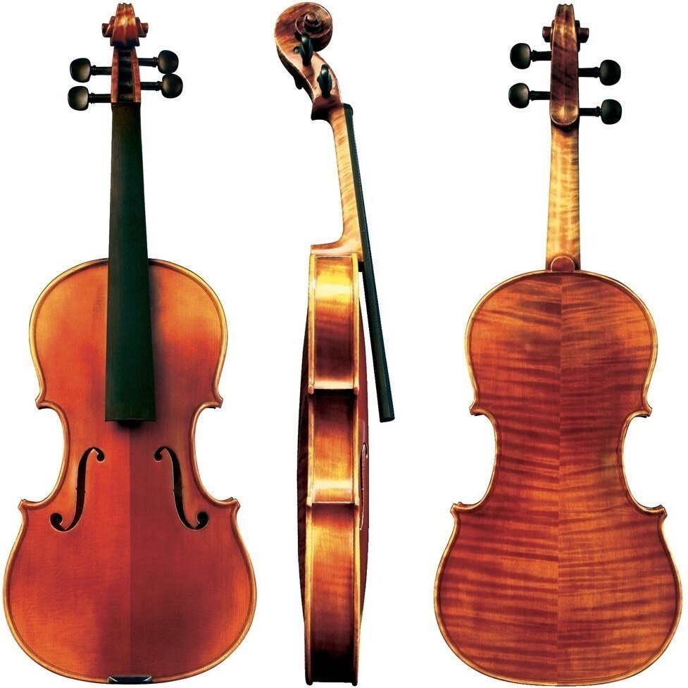 Gewa Maestro 6 4/4 Marron - Acoustic violin - Main picture